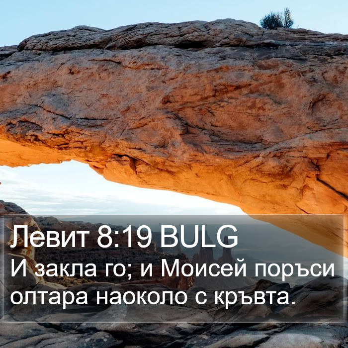 Левит 8:19 BULG Bible Study