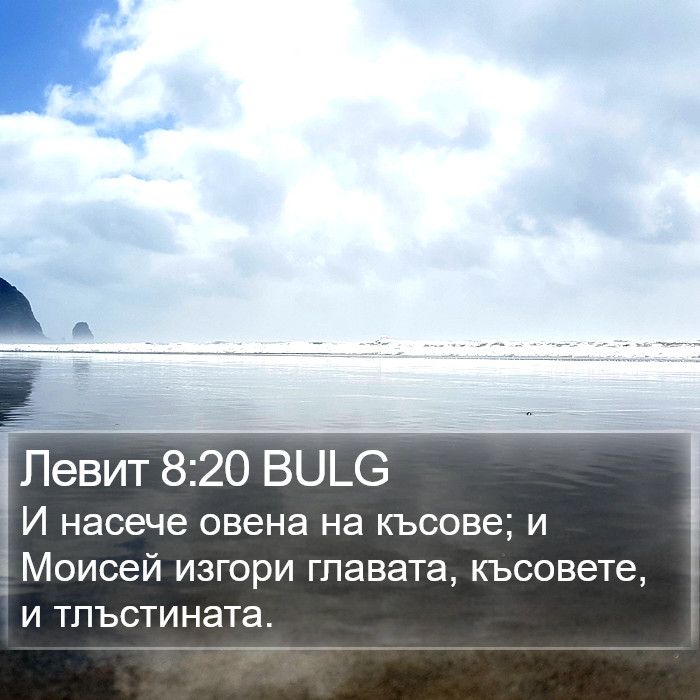 Левит 8:20 BULG Bible Study