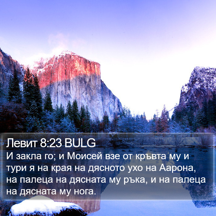 Левит 8:23 BULG Bible Study