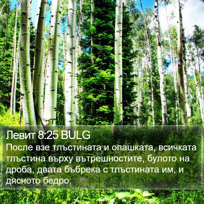 Левит 8:25 BULG Bible Study