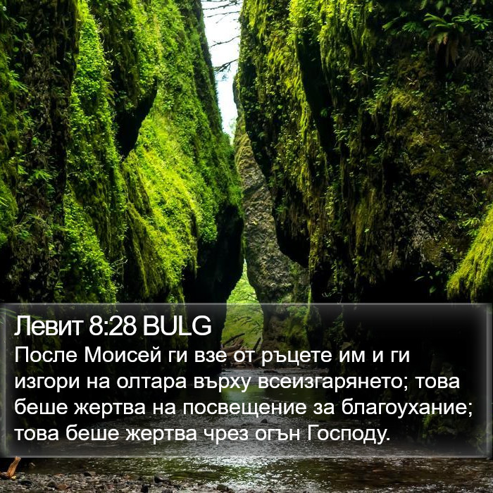 Левит 8:28 BULG Bible Study