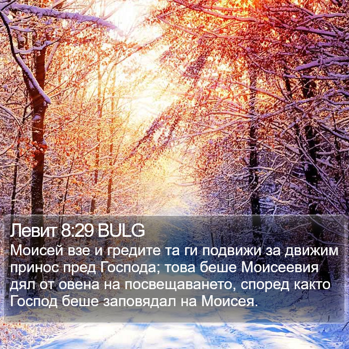 Левит 8:29 BULG Bible Study