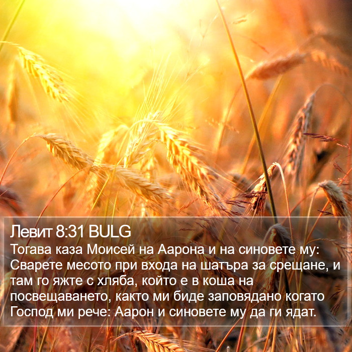 Левит 8:31 BULG Bible Study