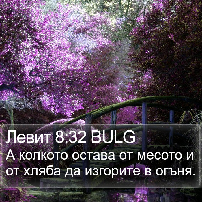 Левит 8:32 BULG Bible Study