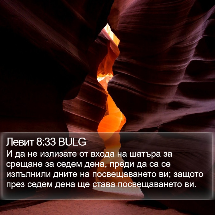 Левит 8:33 BULG Bible Study