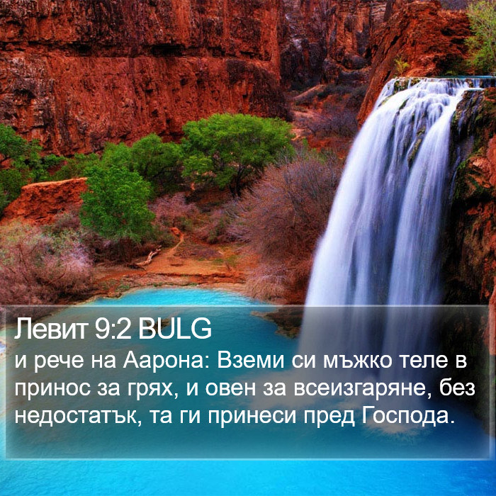 Левит 9:2 BULG Bible Study