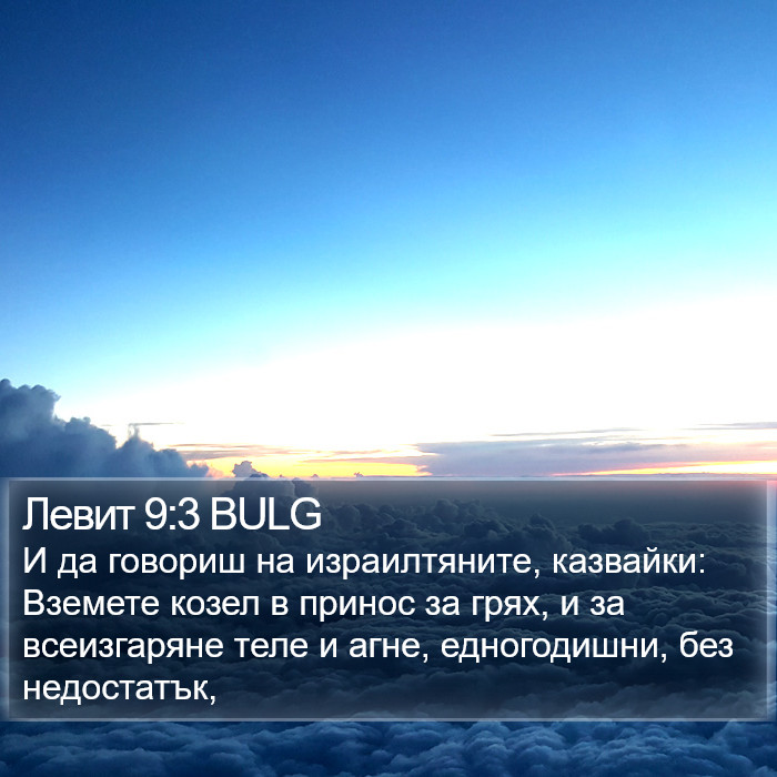 Левит 9:3 BULG Bible Study