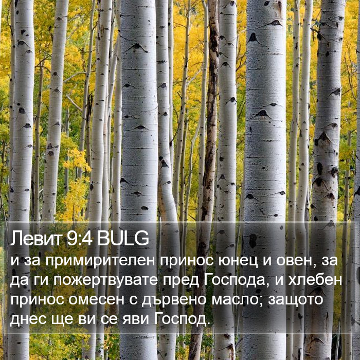 Левит 9:4 BULG Bible Study