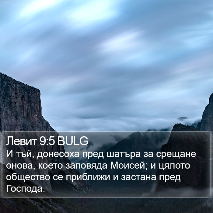 Левит 9:5 BULG Bible Study