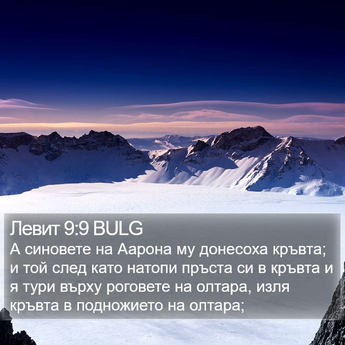 Левит 9:9 BULG Bible Study