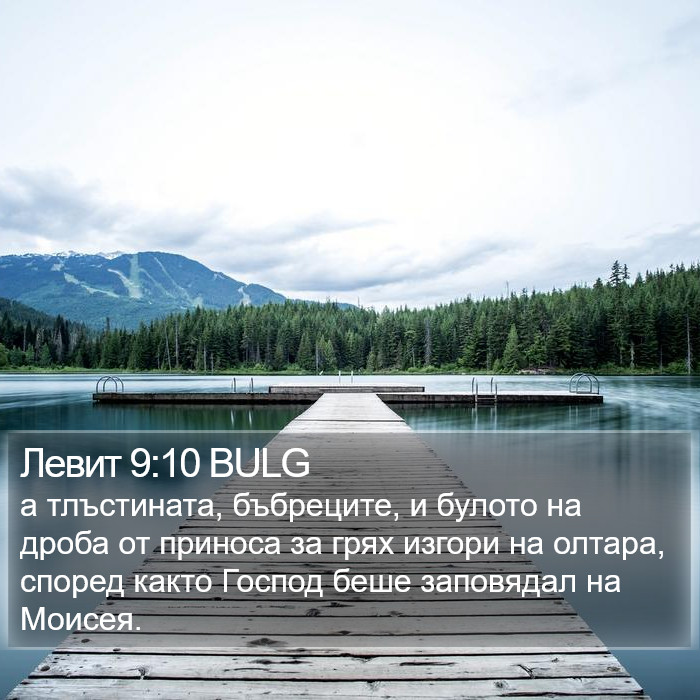 Левит 9:10 BULG Bible Study