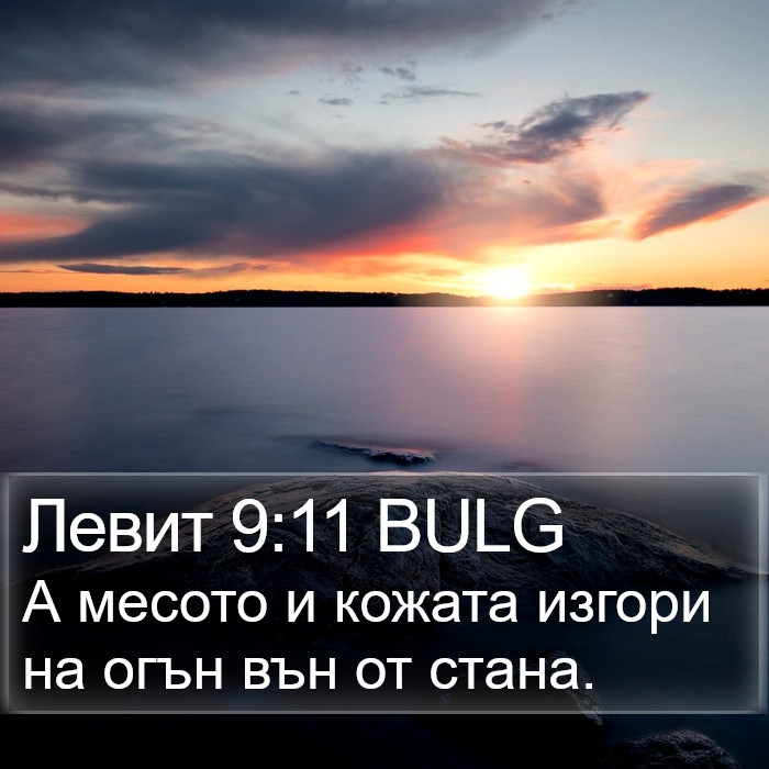 Левит 9:11 BULG Bible Study