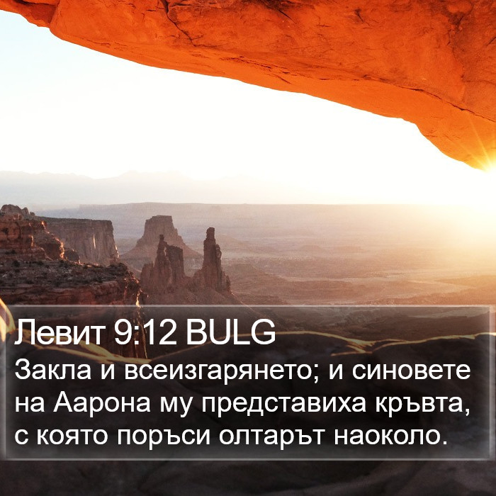 Левит 9:12 BULG Bible Study