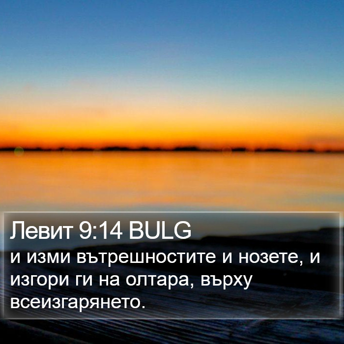 Левит 9:14 BULG Bible Study