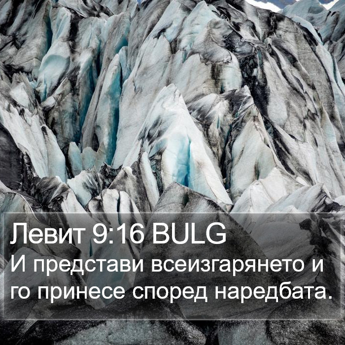 Левит 9:16 BULG Bible Study