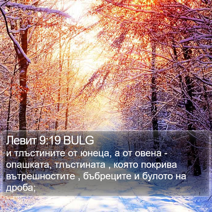 Левит 9:19 BULG Bible Study