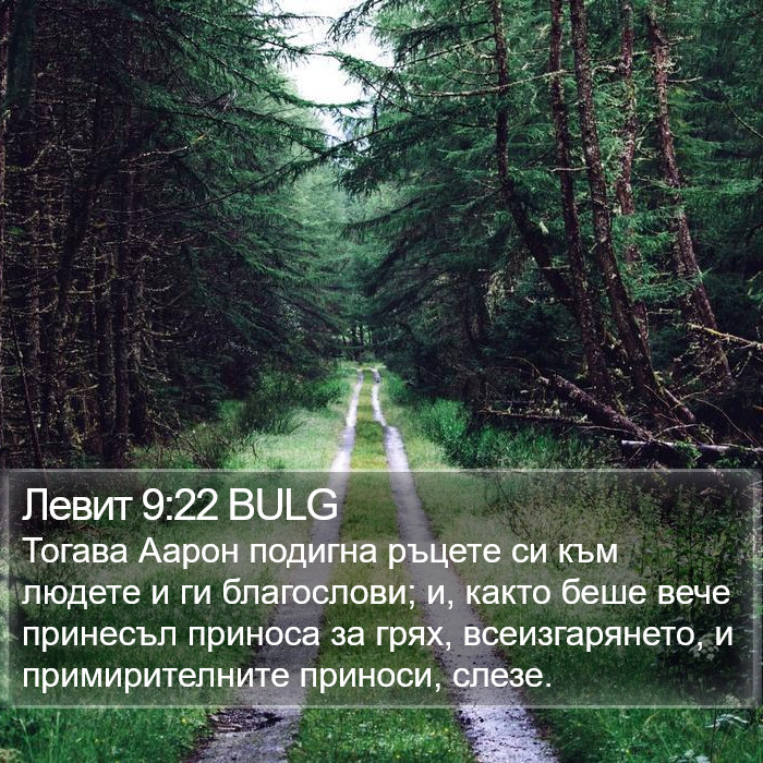 Левит 9:22 BULG Bible Study