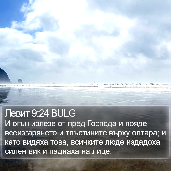 Левит 9:24 BULG Bible Study