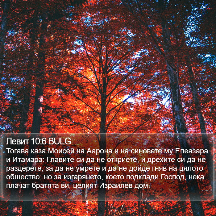 Левит 10:6 BULG Bible Study