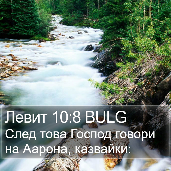 Левит 10:8 BULG Bible Study