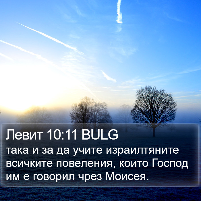 Левит 10:11 BULG Bible Study