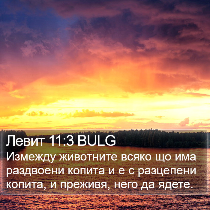 Левит 11:3 BULG Bible Study