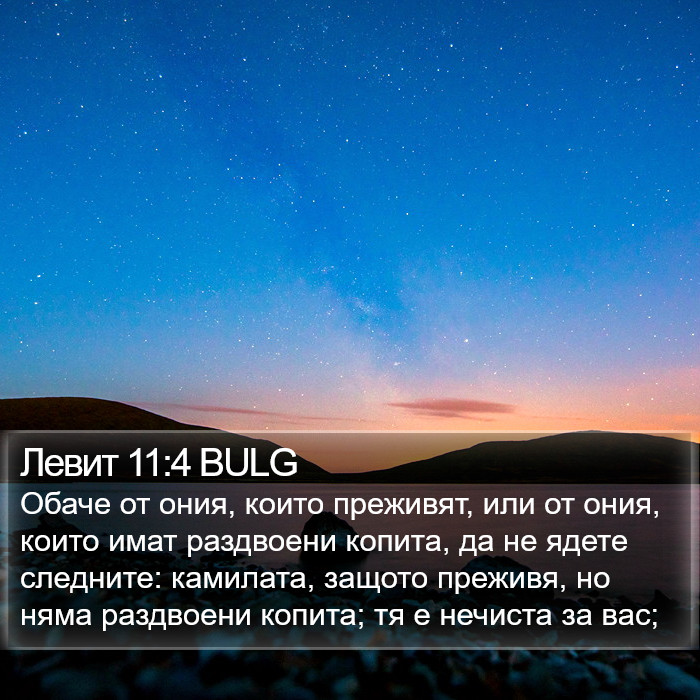 Левит 11:4 BULG Bible Study