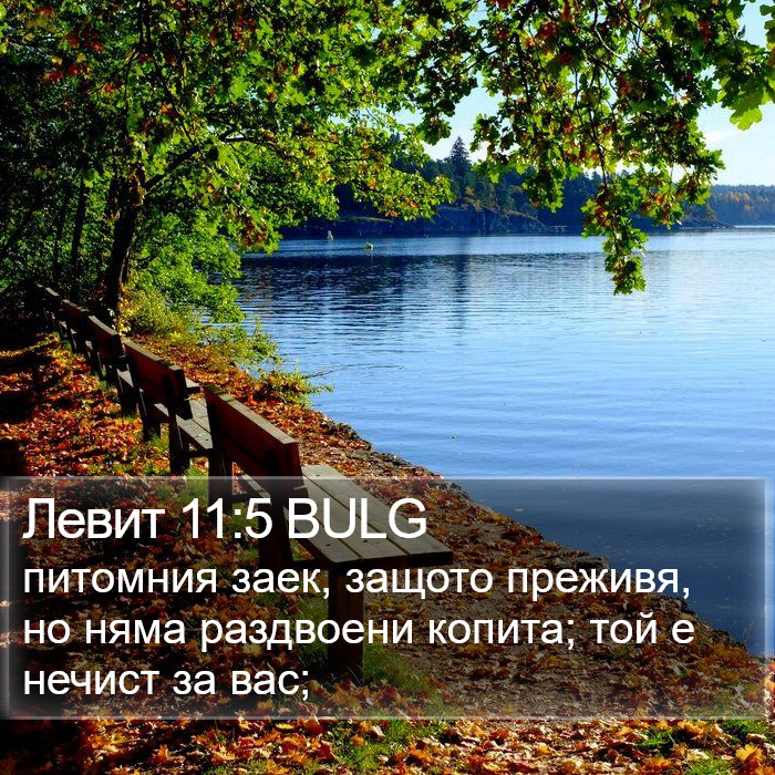 Левит 11:5 BULG Bible Study