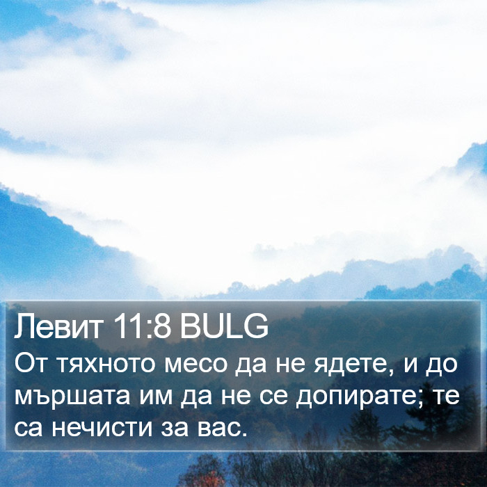 Левит 11:8 BULG Bible Study