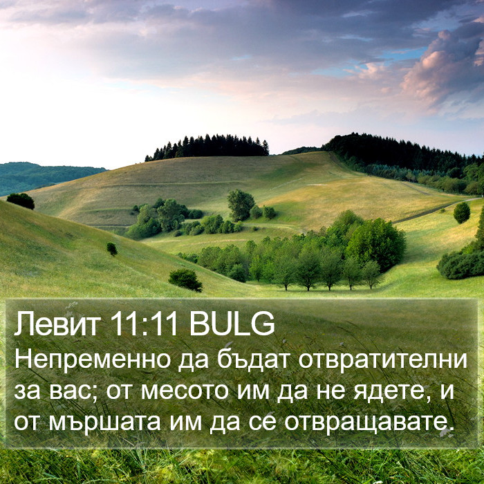 Левит 11:11 BULG Bible Study