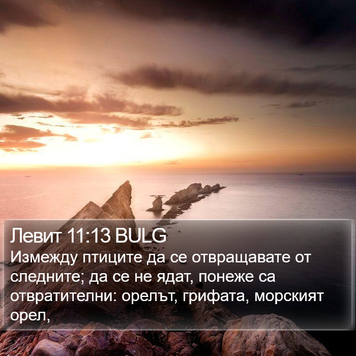 Левит 11:13 BULG Bible Study