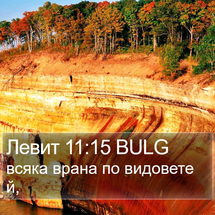 Левит 11:15 BULG Bible Study