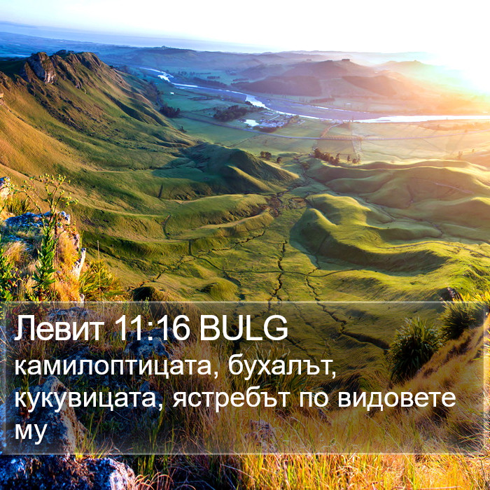 Левит 11:16 BULG Bible Study