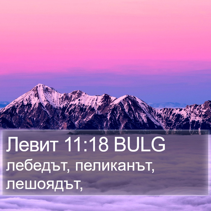 Левит 11:18 BULG Bible Study