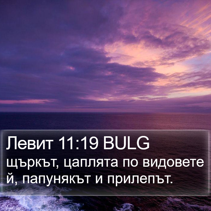 Левит 11:19 BULG Bible Study