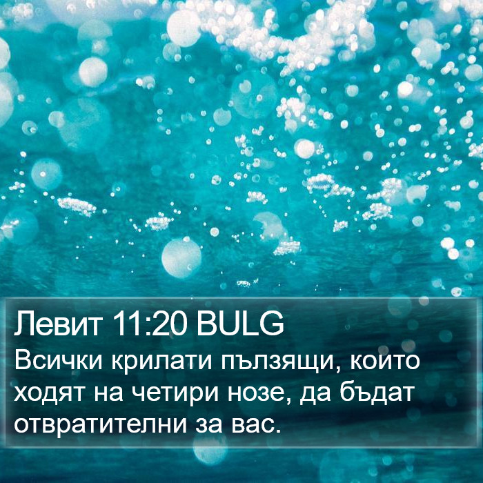 Левит 11:20 BULG Bible Study