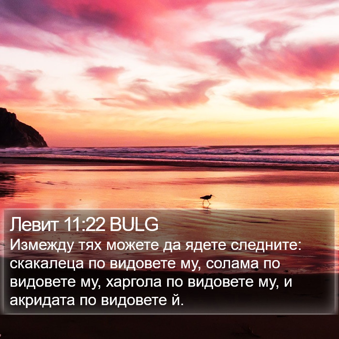 Левит 11:22 BULG Bible Study