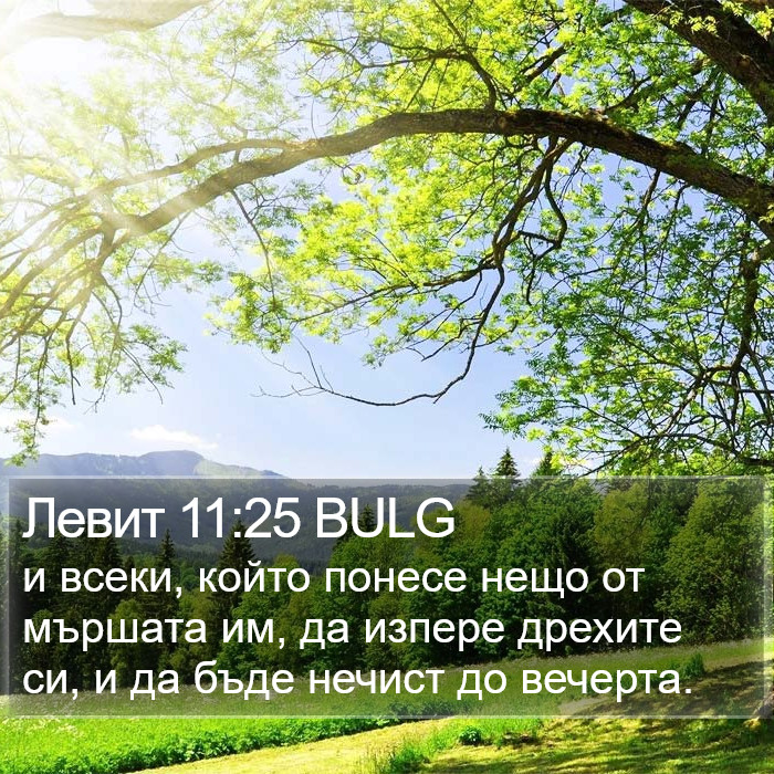 Левит 11:25 BULG Bible Study