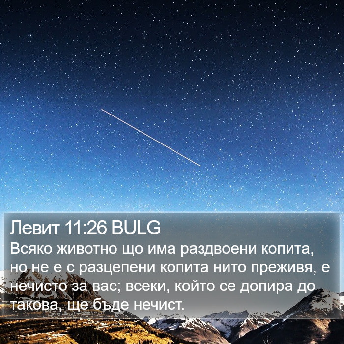 Левит 11:26 BULG Bible Study