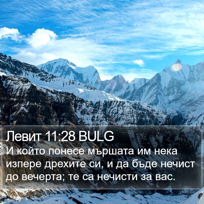 Левит 11:28 BULG Bible Study