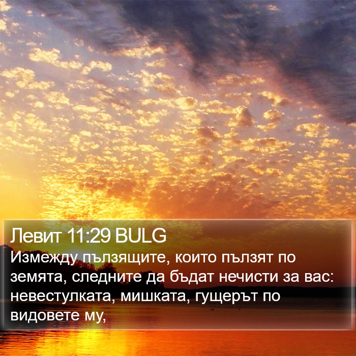 Левит 11:29 BULG Bible Study