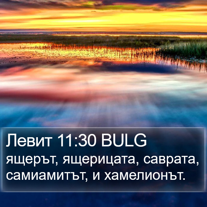 Левит 11:30 BULG Bible Study