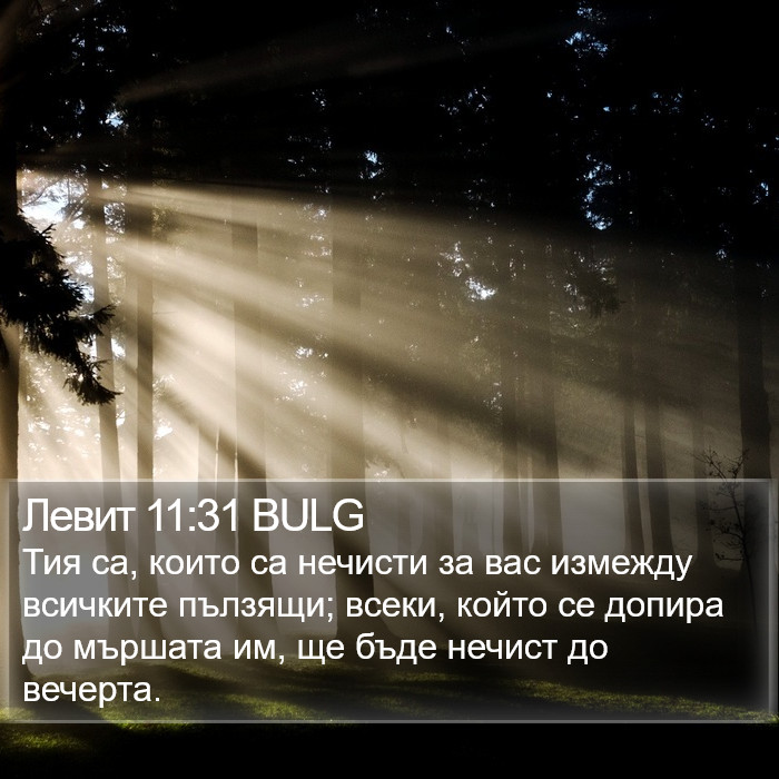 Левит 11:31 BULG Bible Study