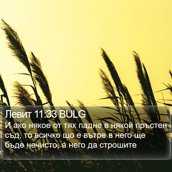 Левит 11:33 BULG Bible Study