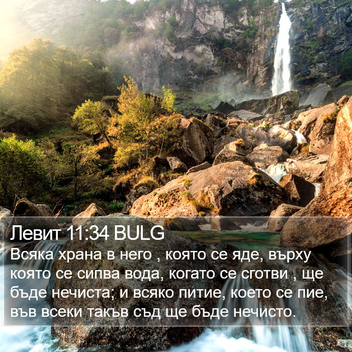 Левит 11:34 BULG Bible Study