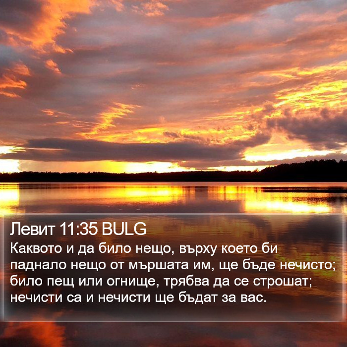 Левит 11:35 BULG Bible Study