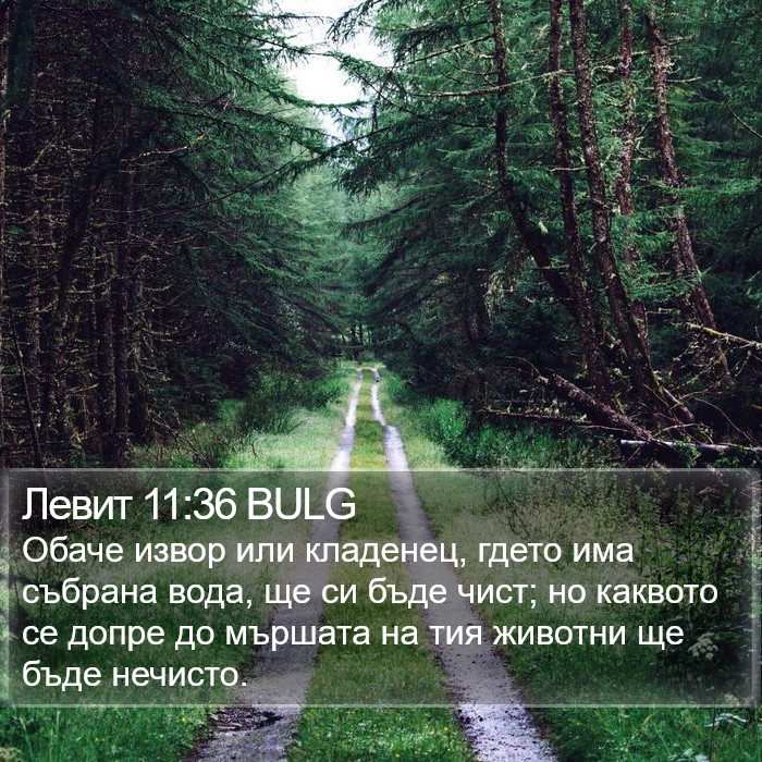 Левит 11:36 BULG Bible Study