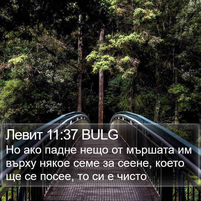 Левит 11:37 BULG Bible Study