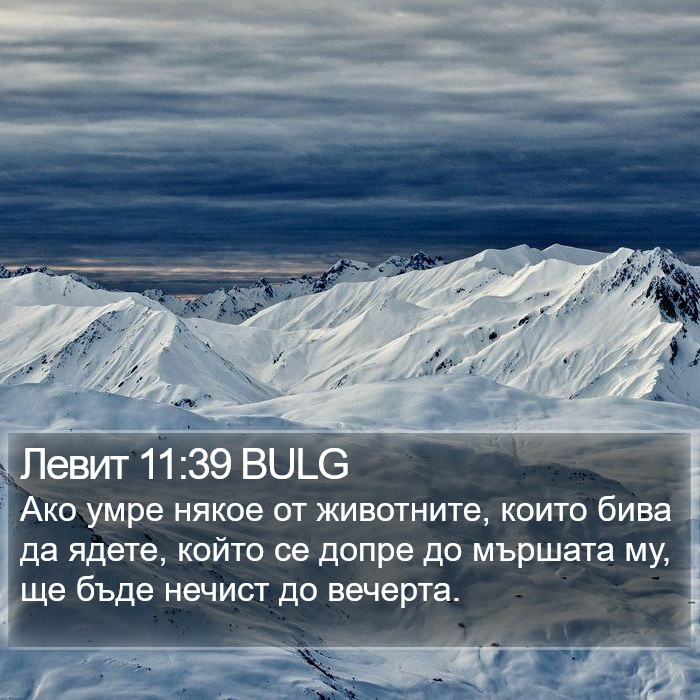 Левит 11:39 BULG Bible Study