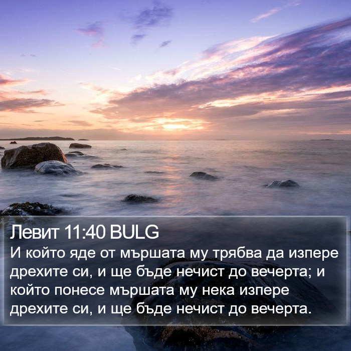 Левит 11:40 BULG Bible Study